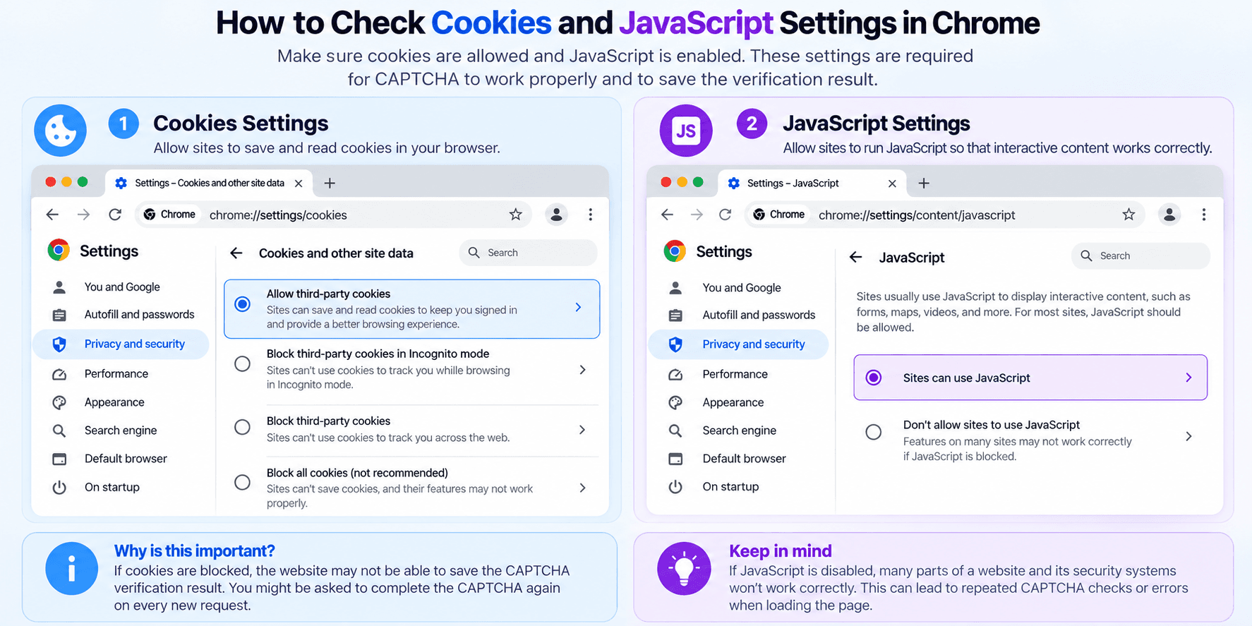 Checking Cookies and JavaScript settings in a browser