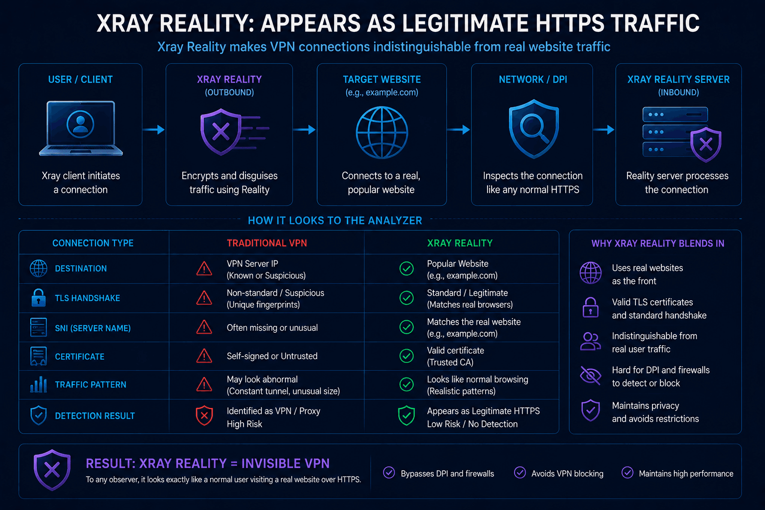 Xray Reality traffic appearing identical to legitimate HTTPS website traffic