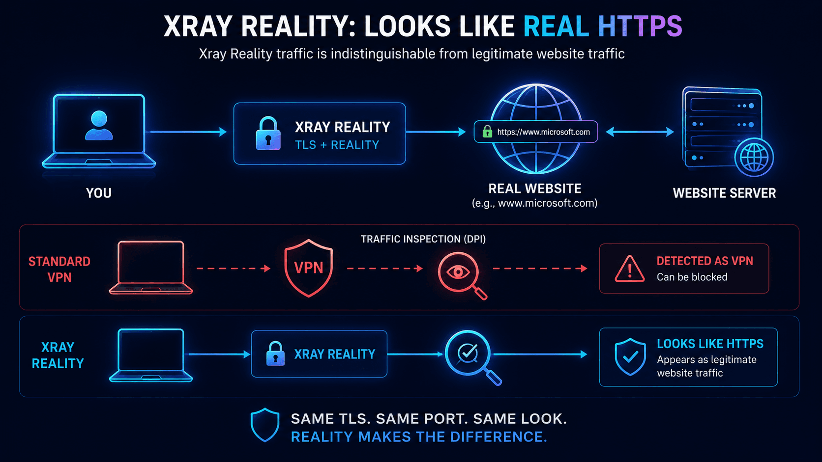 Xray Reality traffic appearing identical to legitimate HTTPS website traffic