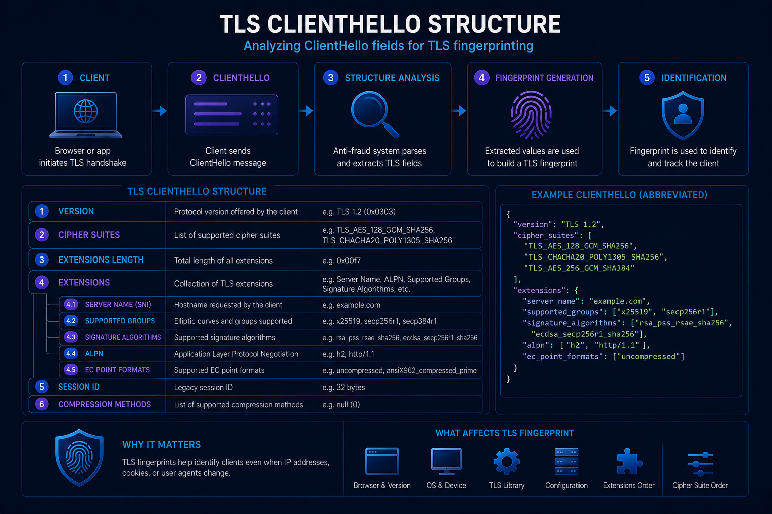 TLS ClientHello structure used for fingerprinting analysis