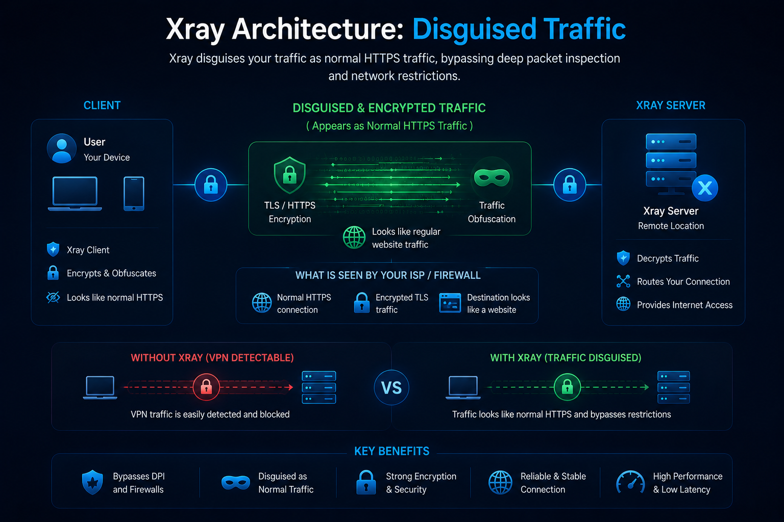 Xray traffic disguised as normal HTTPS communication